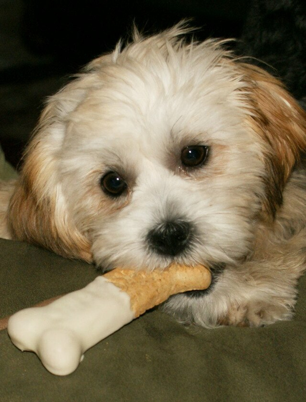 Candy Dog Bones: Safe Homemade Dog Treats